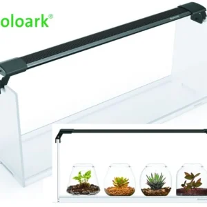 Garantierte Lieferung Bioloark Wabi-Kusa Set, Gift Box LH-02